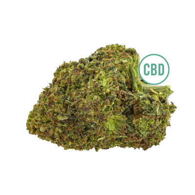 CBD OG Kush es una variedad de cannabis que contiene niveles más altos de cannabidiol (CBD) en comparación con otras variedades 