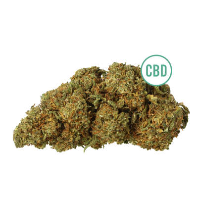 CBD Gorilla Glue is a strain of cannabis that has been bred to have a high CBD content. It is known for its potent effects and i